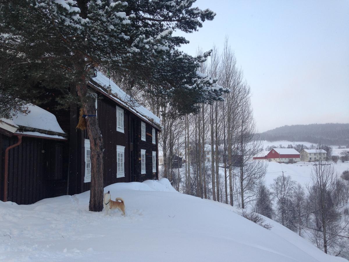 Ivaregga Vinterstua Tolga ภายนอก รูปภาพ