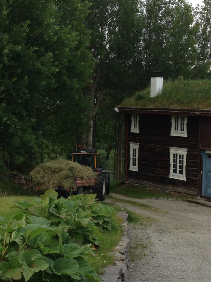 Ivaregga Vinterstua Tolga ภายนอก รูปภาพ